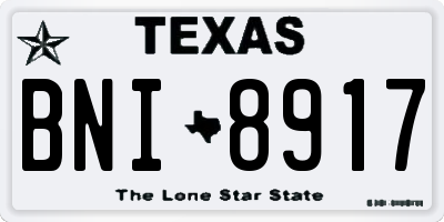 TX license plate BNI8917