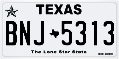 TX license plate BNJ5313