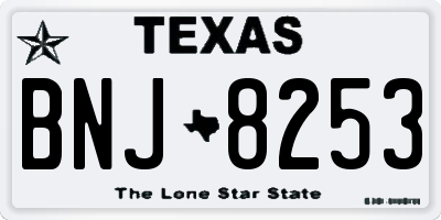 TX license plate BNJ8253