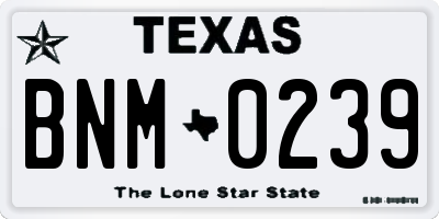 TX license plate BNM0239