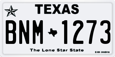 TX license plate BNM1273