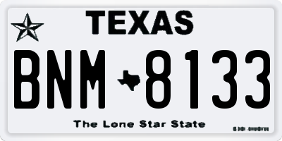 TX license plate BNM8133