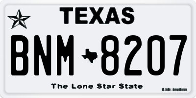 TX license plate BNM8207
