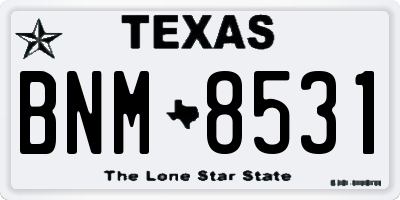 TX license plate BNM8531