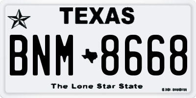 TX license plate BNM8668