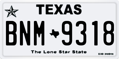 TX license plate BNM9318