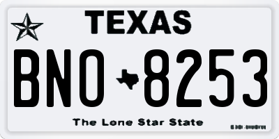TX license plate BNO8253