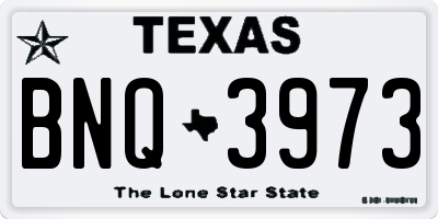 TX license plate BNQ3973