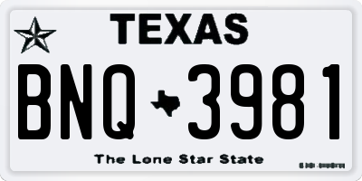 TX license plate BNQ3981