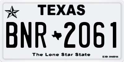 TX license plate BNR2061