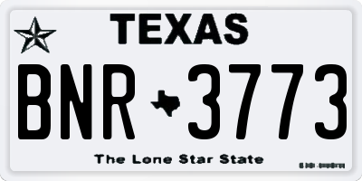 TX license plate BNR3773