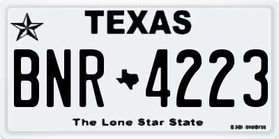 TX license plate BNR4223