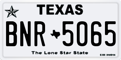 TX license plate BNR5065