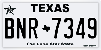 TX license plate BNR7349