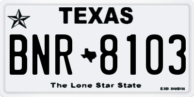 TX license plate BNR8103