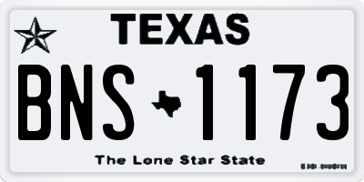 TX license plate BNS1173