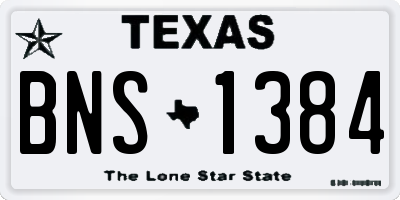 TX license plate BNS1384