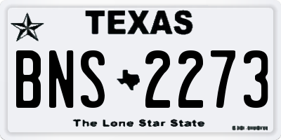 TX license plate BNS2273