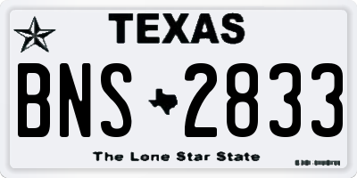 TX license plate BNS2833