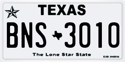 TX license plate BNS3010