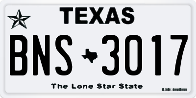 TX license plate BNS3017
