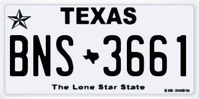 TX license plate BNS3661