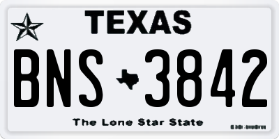 TX license plate BNS3842