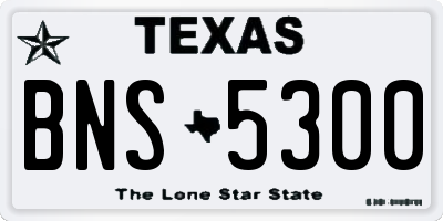 TX license plate BNS5300