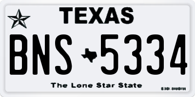 TX license plate BNS5334