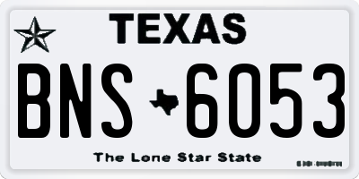 TX license plate BNS6053
