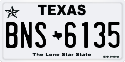 TX license plate BNS6135