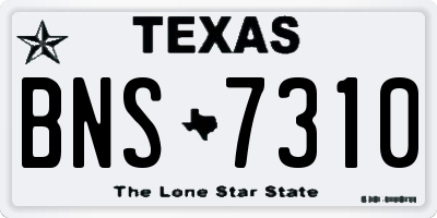 TX license plate BNS7310