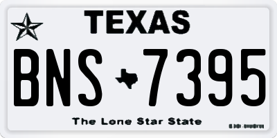 TX license plate BNS7395