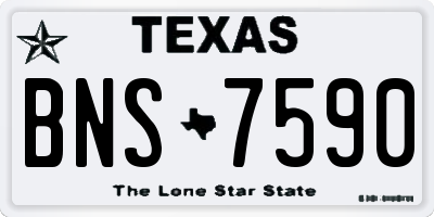 TX license plate BNS7590
