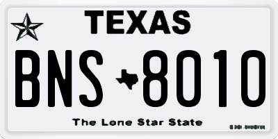 TX license plate BNS8010