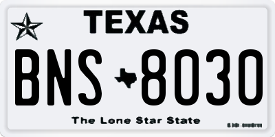 TX license plate BNS8030