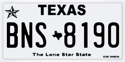 TX license plate BNS8190