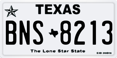 TX license plate BNS8213