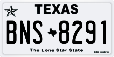TX license plate BNS8291