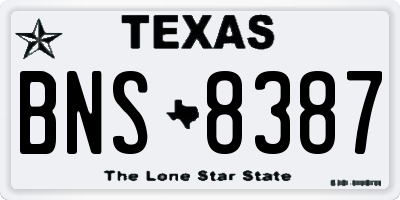 TX license plate BNS8387