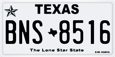 TX license plate BNS8516