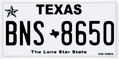 TX license plate BNS8650