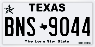 TX license plate BNS9044