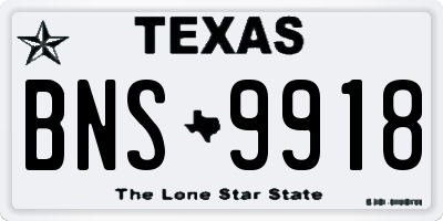 TX license plate BNS9918