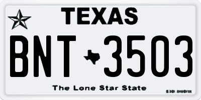 TX license plate BNT3503