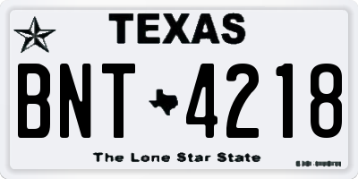 TX license plate BNT4218
