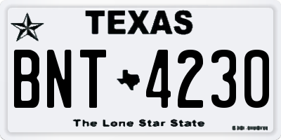 TX license plate BNT4230