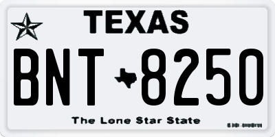 TX license plate BNT8250
