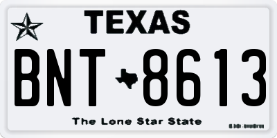 TX license plate BNT8613