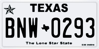 TX license plate BNW0293